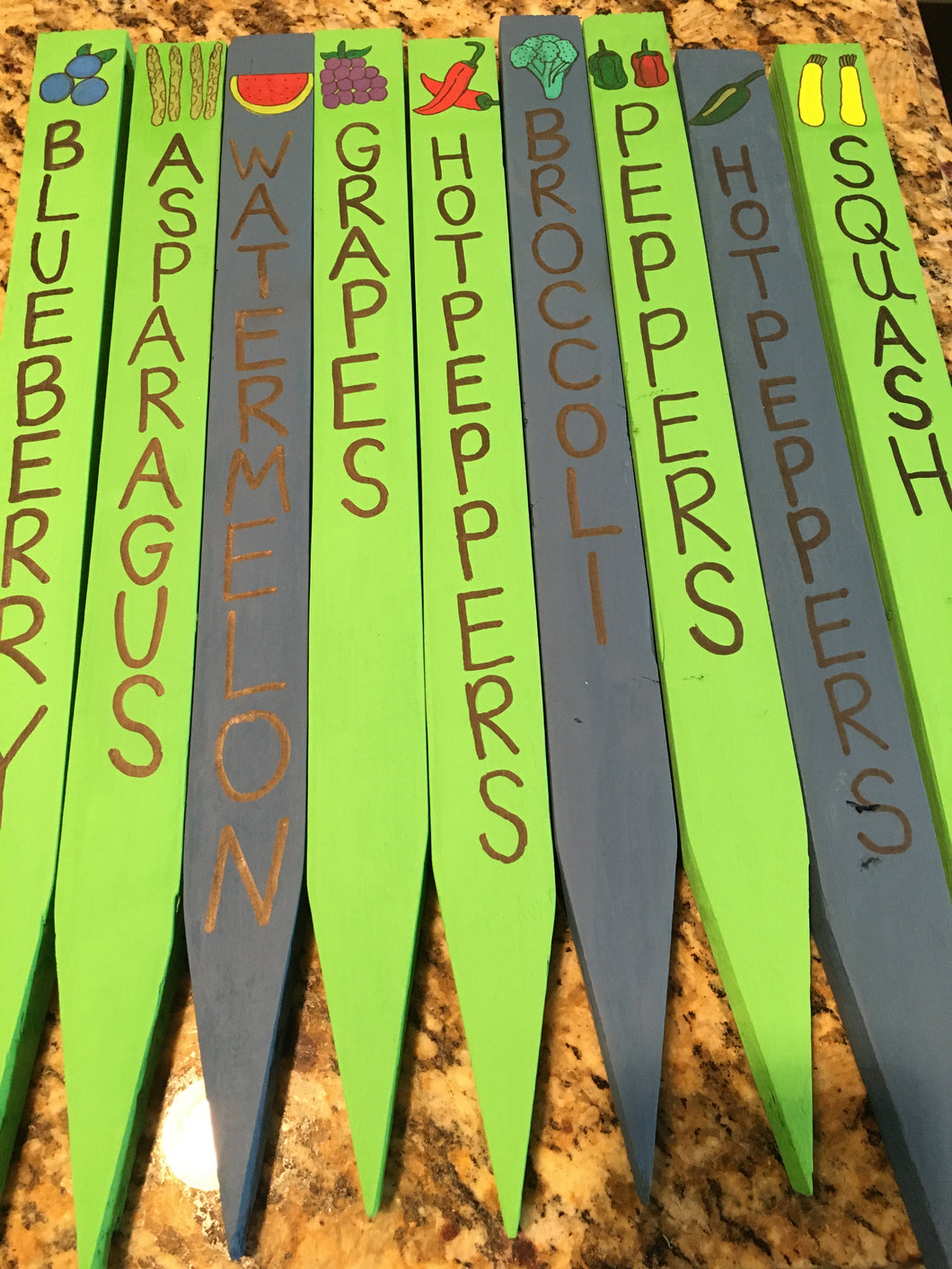 Garden stakes with names painted on (blueberry, asparagus, watermelon, grapes, hot peppers, broccoli, peppers, squash)